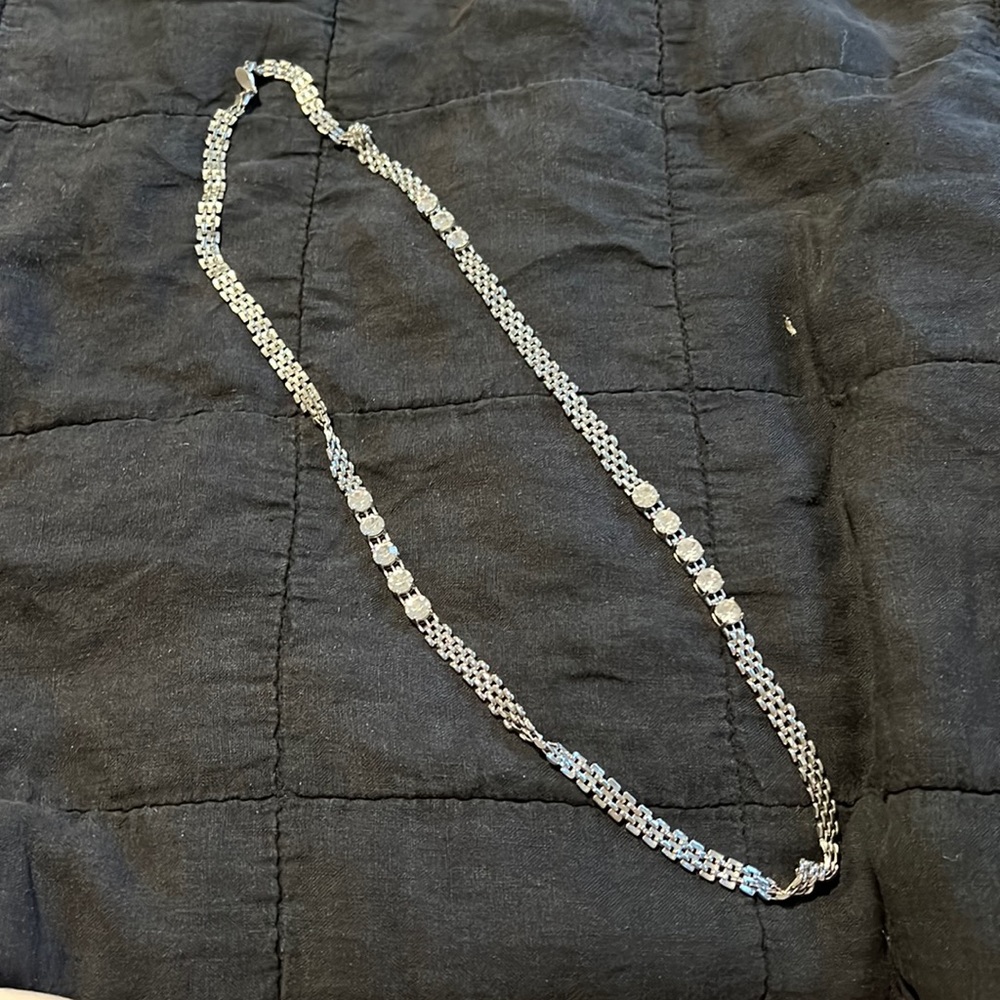Ann Taylor Silver Long Necklace